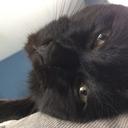 Becky Stark - @lulubelle1208 - Twitter