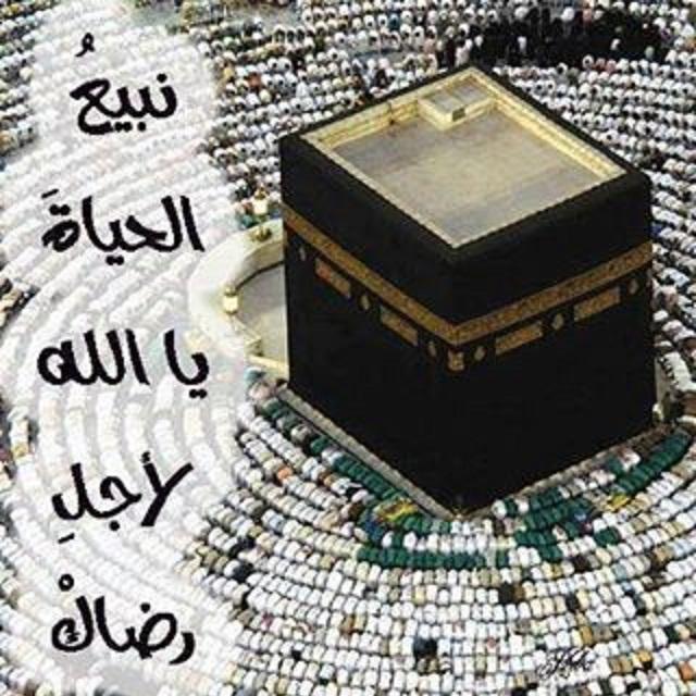 Tweets_isslamic Profile Picture