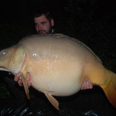 hermansjoris1's profile picture. 