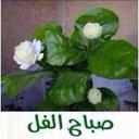 التكيف مع الواقع  - @AjLAyBVfDdviGqS - Twitter