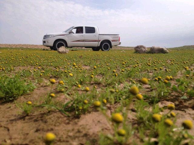 Moohd888's profile picture. 