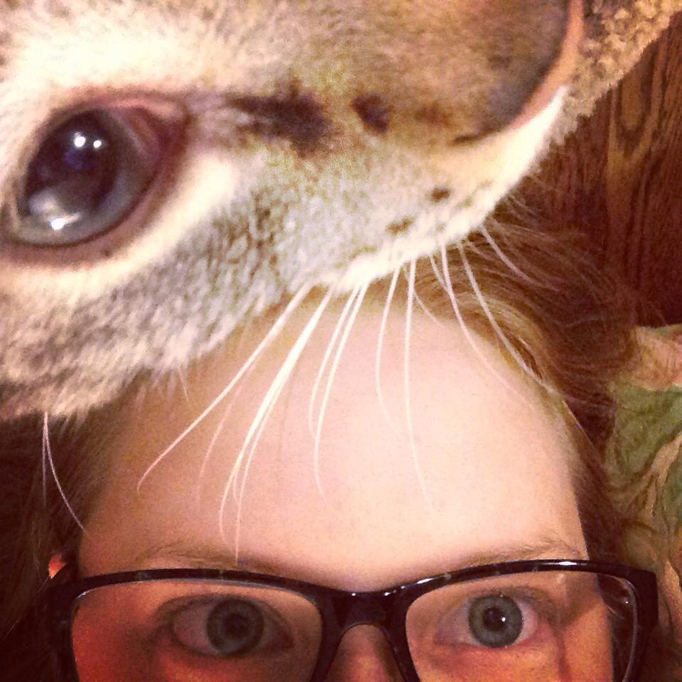 Ohio Teacher. 🍎 Public Education Advocate. OEA Member. ✊🏼 O.N.E. Member Ambassador. Cat Lover and Sometimes Rescuer. 🐈