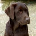 Marc Roger Marquina - @Golfainther - Twitter