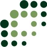 Translation, localization & communication solutions