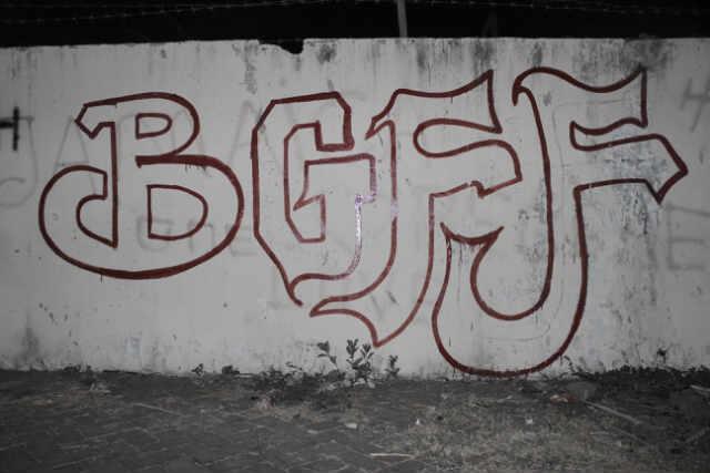 BGFF
