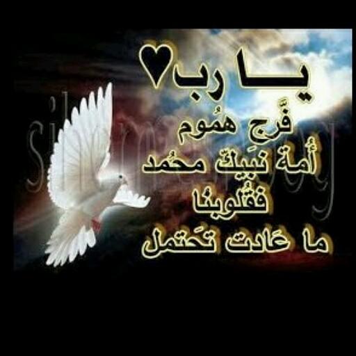 تدري وش اللي في حياتي ما ادانيه
ضحكه منافق فــــي طرفها نجاسه !!