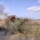 Nicholas Maina - @babamaich - Twitter