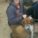 dalton hall - @daltonhall38 - Twitter