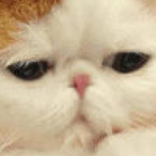 愛おしくってごめんね♡