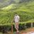Kunal_chokshi's profile image