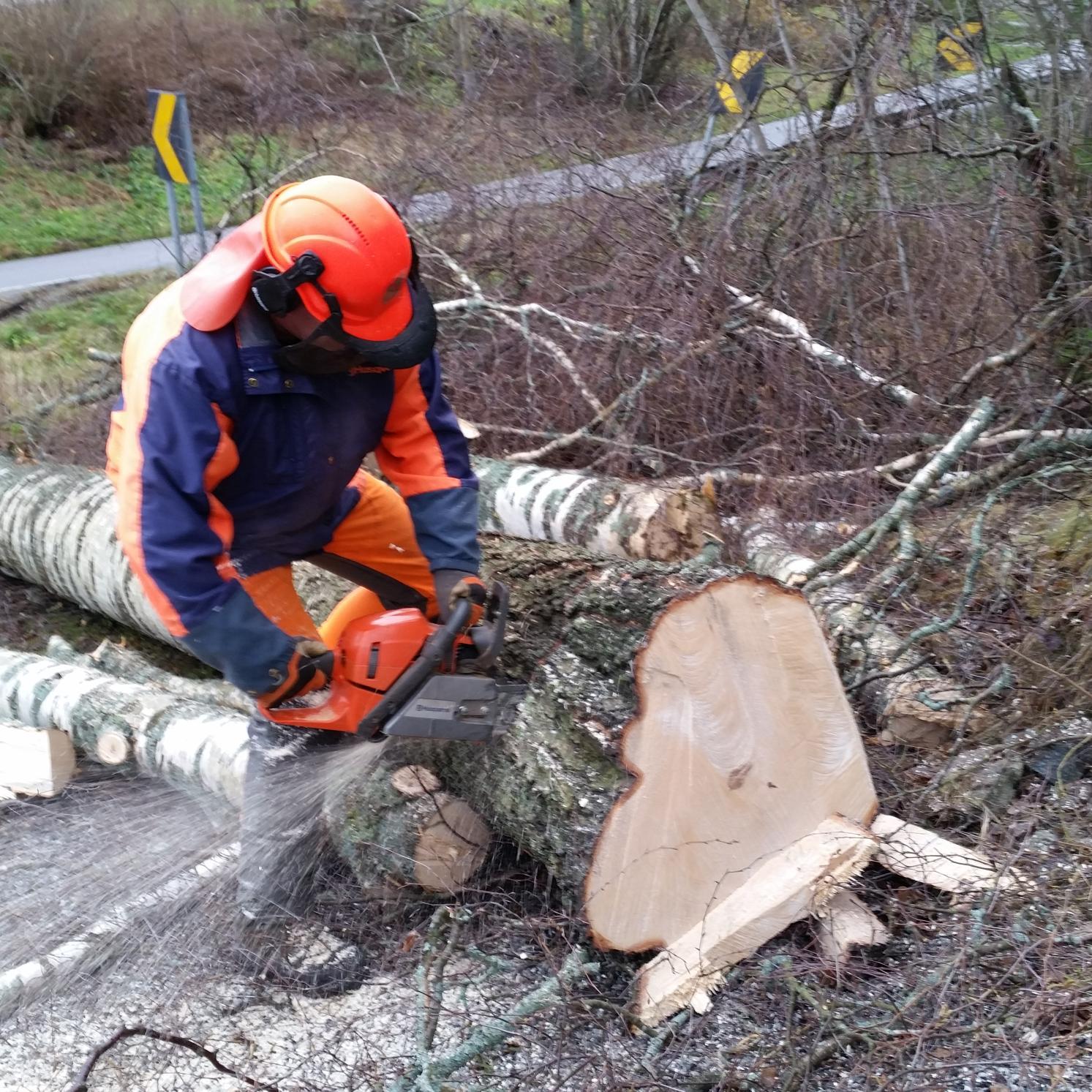 Bygdeservice's profile picture. 