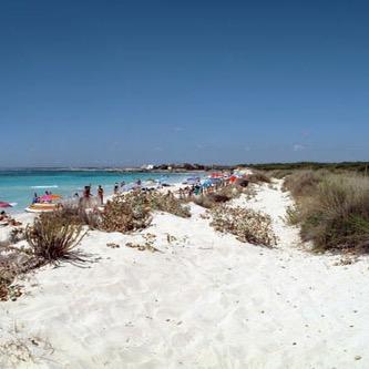 Joan Manuel Darder Profile