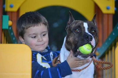 PabloSeoane69's profile picture. 