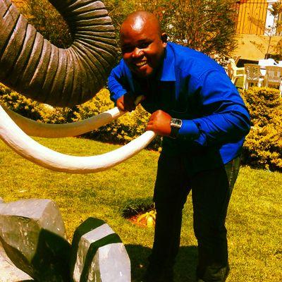 chalydo's profile picture. 