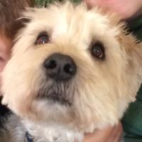 Keith Rubin (@krubinator) 's Twitter Profile