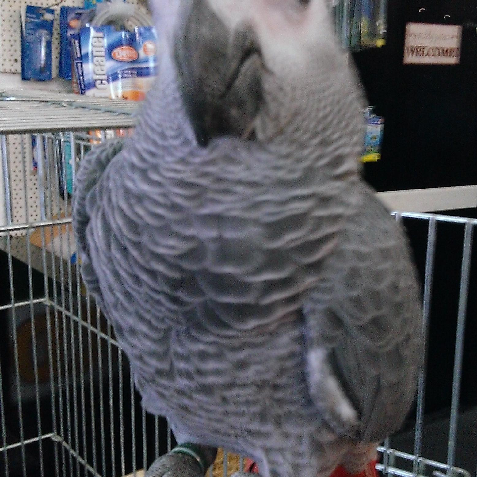 MARIONPets's profile picture. 