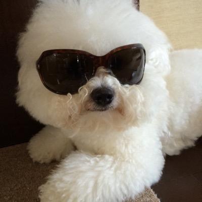 tera888's profile picture. 聖史