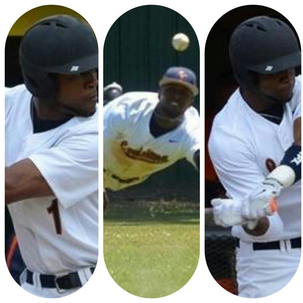 LCcatsBaseball #1