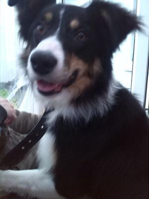 Patience5271t's profile picture. love my fur babies to bits