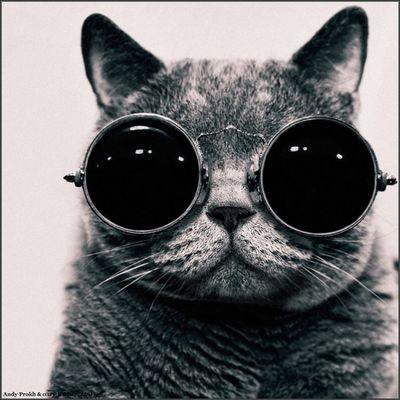 romanabramov121's profile picture. #читаю взаимно#люблю спать#есть#угарать#ужасы#медвежий фарш#доброту в людях#