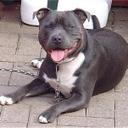 fran curtin - @francurtin - Twitter