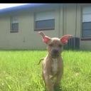 stephen still - @punnany_ - Twitter