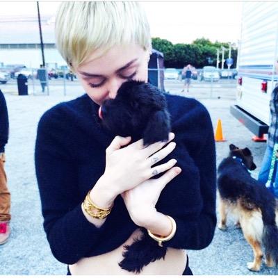 DragoVieira's profile picture. #Serials #Music #Food #HungerGames Happy B-Day 09.08