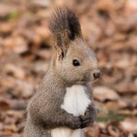 ムッタ (@m231405) 's Twitter Profile Photo