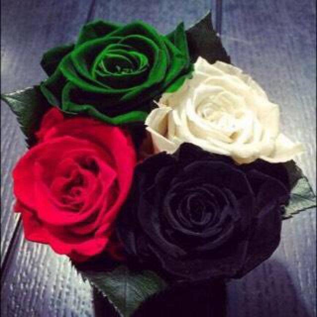 لاتهملني وتاكلك الحسايف 