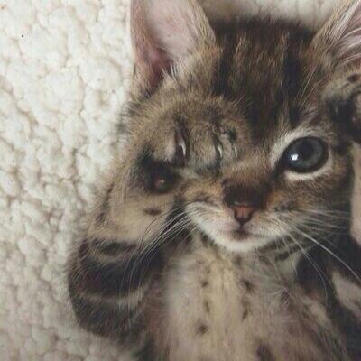 @iwillmeetlouis