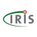 IRIS (@irisracing) Twitter profile photo