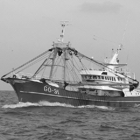 GO31morgenster's profile picture. 