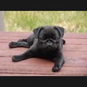 Lesley Betts - @lesbetts71 - Twitter