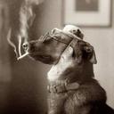 David Baus - @DaDavid93 - Twitter