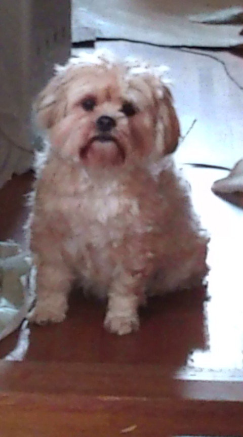 bunbun8's profile picture. ゴルフと車(ロードスター、オープンが最高）が生きがいです。