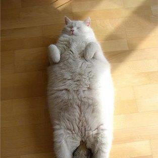 loghome9991's profile picture. 