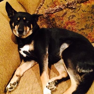 GuinnHunter's profile picture. 