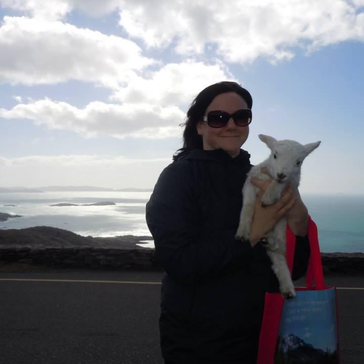 Rigby121's profile picture. 