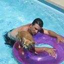 Steve Hanak - @Stevehanak - Twitter