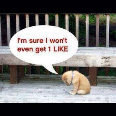 Liam_NeedaClan's profile picture. 