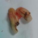 Martin Cann - @HockeyCardGuy - Twitter