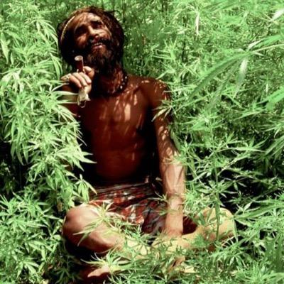 when life hits you hard, hit weed even harder