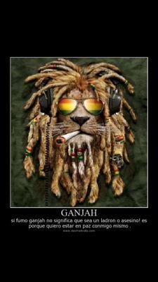 Ganjah time, Marihuana, Petas , Para poder fumar tranquilo hay que luchar por la libertad