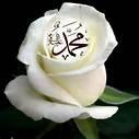 ياجماعة الخاص مهمل لحد يراسلني فيه اكرر(الخاص مهمل)
