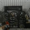 Beverly Weber - @tigercublady1 - Twitter