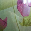 Steven Barbas - @BarbasSteven - Twitter