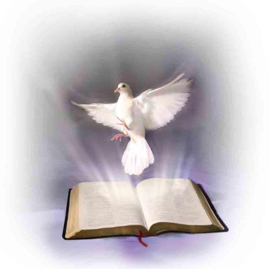 heavenlyhosts3's profile picture. A Daughter to the one & only Father that is in Heaven, a saved sinner by His son Jesus Christ, and working daily with the Holy Spirit for truth and wisdom.