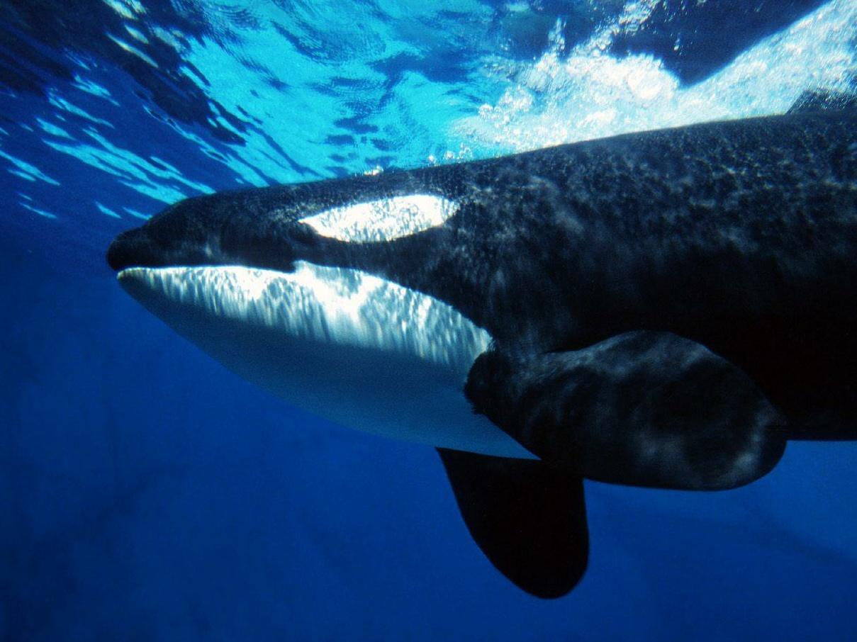 уставший студент