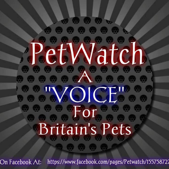 Twitter page for Petwatch - films, website, forum, posters etc http://t.co/MekmHvWSQe
