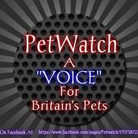 Petwatch (@petwatch2014) 's Twitter Profile